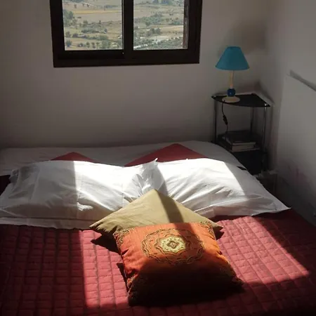 Branca Goncalves 山林小屋 贝尔蒙特