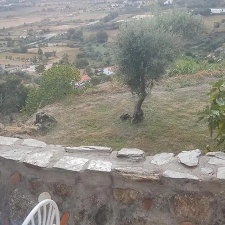 Branca Goncalves 山林小屋