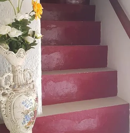 Branca Goncalves 山林小屋 *