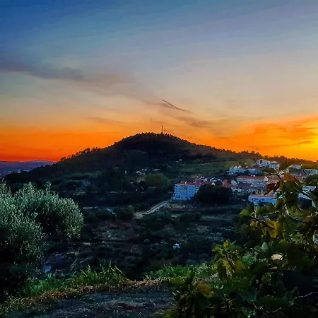 Branca Goncalves 山林小屋