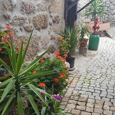 Branca Gonçalves Lodge *