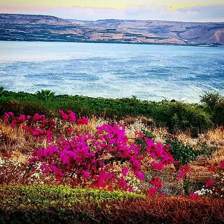 Branca Goncalves * 贝尔蒙特