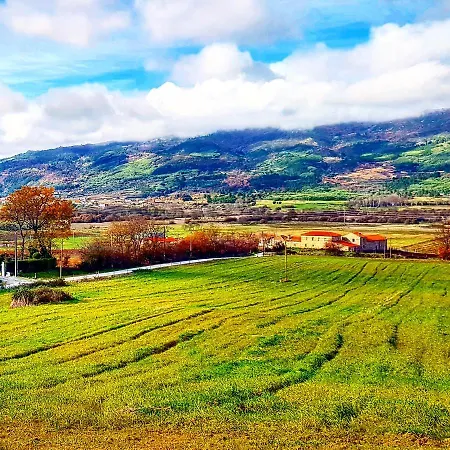 Orman Evi Branca Goncalves