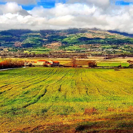 Branca Goncalves * Belmonte (Castelo Branco)