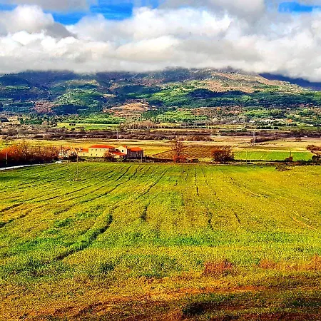 Branca Goncalves * Belmonte (Castelo Branco)