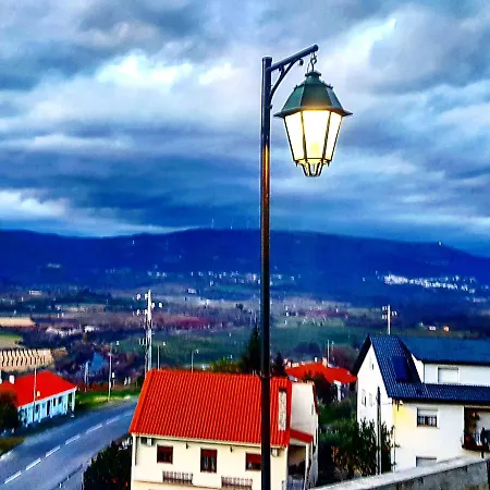 Branca Gonçalves *