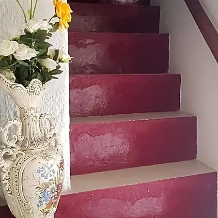 Branca Gonçalves Lodge *