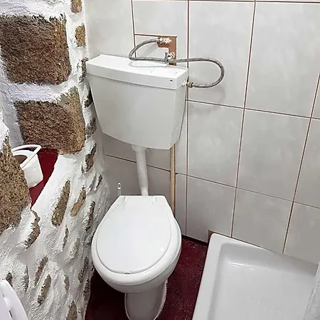 Orman Evi Branca Goncalves *