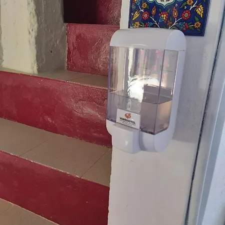 Branca Goncalves * Belmonte (Castelo Branco)