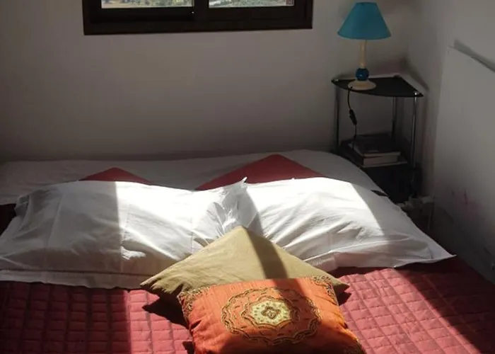 Branca Goncalves Orman Evi Belmonte (Castelo Branco)