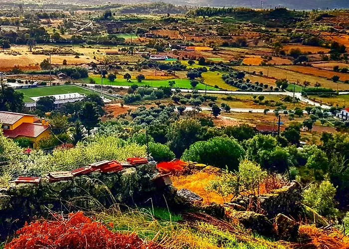 אכסניה Branca Goncalves בלמונטה