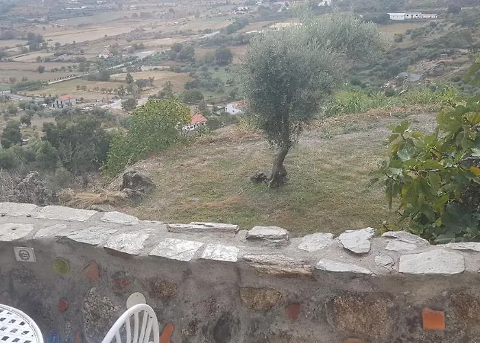 Branca Goncalves بيت خشبي