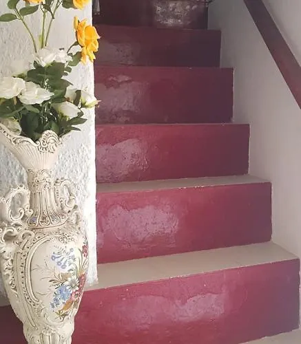 Branca Goncalves אכסניה *