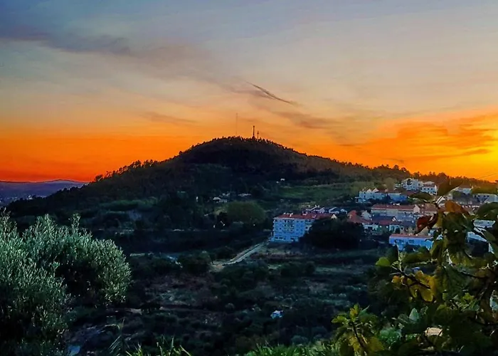 Branca Goncalves אכסניה