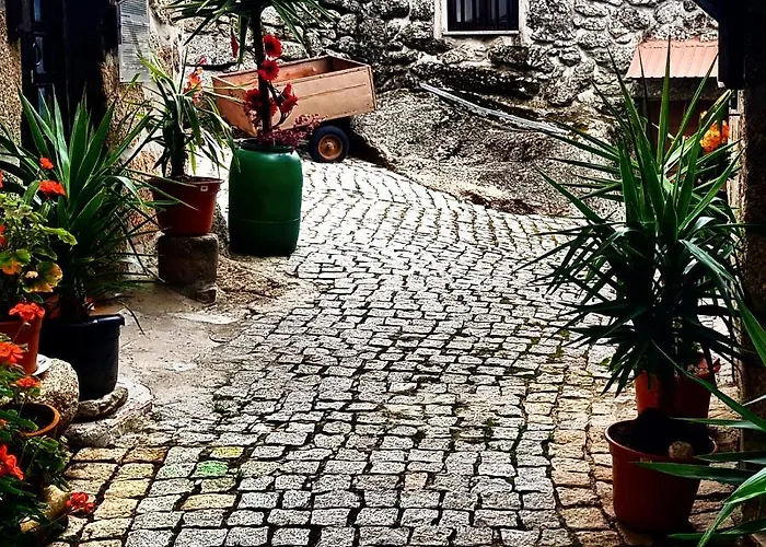 Branca Goncalves אכסניה בלמונטה