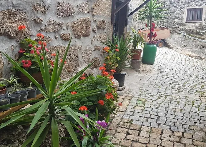 Branca Goncalves אכסניה *