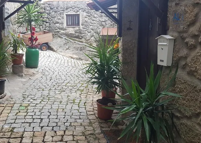 Orman Evi Branca Goncalves