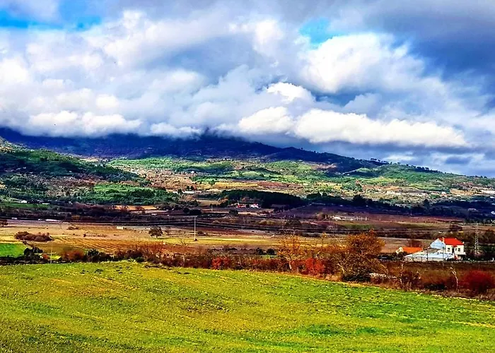 Branca Goncalves * בלמונטה