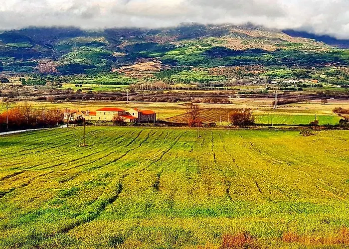 Branca Goncalves * בלמונטה